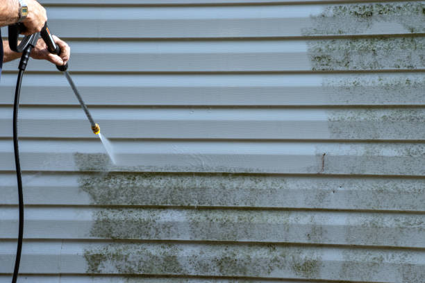 Best Same-Day Junk Removal Services  in Mckinleyville, CA